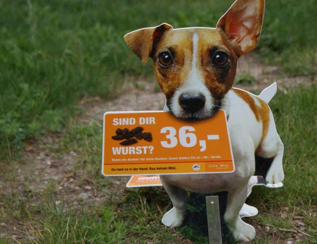 le chien le plus connu à Vienne